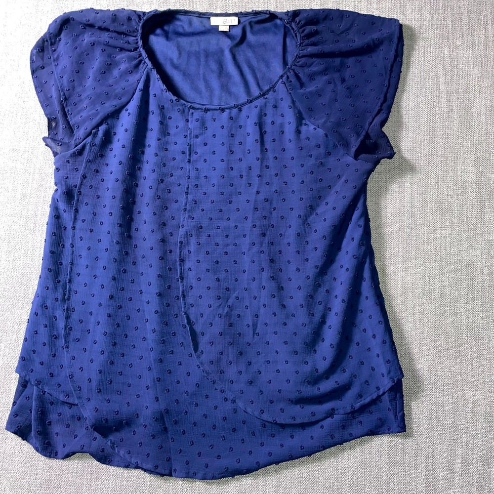 Roz & Ali Blouse Top Womens XL Navy Blue Swiss Dot Chiffon Short Sleeve Casual